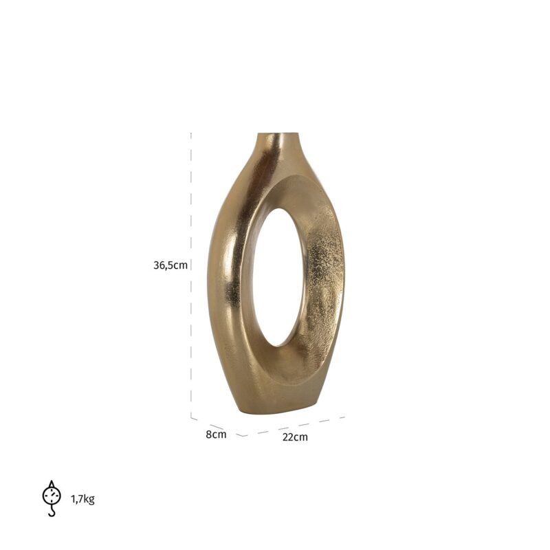 -VA-0238 - Vaas Alma groot (Brushed Gold)