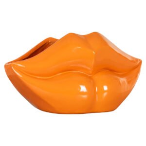 -VA-0341 - Vaas Lippo oranje ()