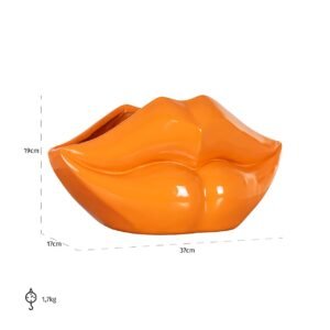 -VA-0341 - Vaas Lippo oranje ()